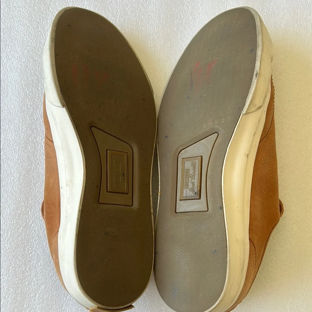 Men's converse jack Purcell - Picture 6 of 8